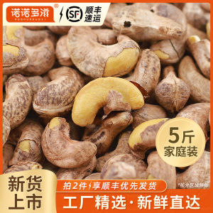 Noonodiz Purple Skin Cashew Nuts Salt Baked Large Granules with Skin 5 Cans Special Products Snacks/Nuts/Local Specialties