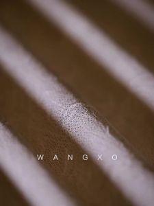 WANGXO | Bộ Áo Một Vai Lụa Xếp Ly Có Phủ Vàng & Quần Tây Cao Đáy Xếp Ly