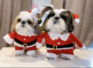 ชุดซานต้าหมา ซานต้าแมว ชุดคริสต์มาสสัตว์เลี้ยง แบบใส่ขาหน้าสุดฮิต Christmas dog costume ชุดแฟนซีหมาแมว เสื้อหมา เสื้อแมว