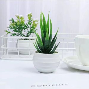 Simulation Potted Plant，Mini Plastic Artificial Simulation Green Radish Potted Artificial Simulation Fake Flower Potted Plant
