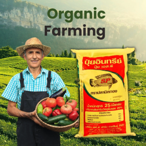 ปุ๋ยอินทรีย์ ปรับหน้าดิน กระสอบ 25 กก ตราปลานิลทอง