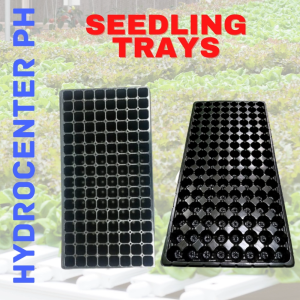 HIGH QUALITY SEEDLING TRAY PLANTERS FOR PLANTS 128 HOLES ( 2 PCS ) SEEDS GERMINATION CONTAINER BEST QUALITY SEEDLING TRAYS MAKUNAT TATAGAL NG TAON