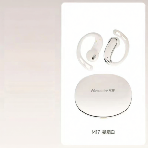 NIUMAN | AI Real-time Translation Wireless Earphone