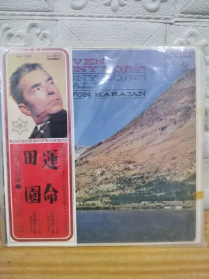 Vinyl Records Album Rare Japan Surplus