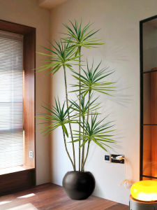 Realistic and Elegant Indoor Decor Tree