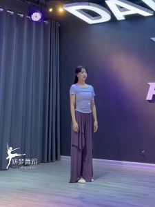成人古典舞短袖古风上衣练功舞蹈服夏季专业中国现代舞服女Adult classical dance short sleeve antique style top training dance clothes summer professional Chinese Modern dance clothes female