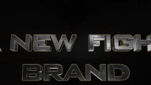 Buakaw BGL-GL3 Grey Muay Thai Boxing Gloves