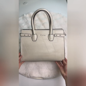 Chase Evon Fashion Handbag Women Sling Bag Women Crossbody Bag PU Leather Bag