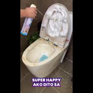 Original Japan Foam Toilet Cleaner Strongly Clean Antibacterial Bathroom Toilet Cleaning Cream 500ML