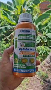 [VTNN TIEN KHOA] Thuốc trừ bệnh đạo ôn lá đạo ôn cổ bông hiệu ĐẠO ÔN THÁI 250SC chai 500ml mát cây xanh lá