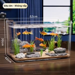 DOCOXO | Bể Cá và Rùa Acrylic