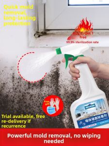 Mold Removal & Prevention Agent for Indoor Walls