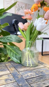 Dầu Tẩy Trang Trà Đen Tía Tô OHBT Perilla & Dark Tea Luxurious Care & Makeup Remover Oil 185ML