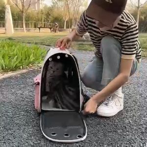 Portable Pet Carrier Bag Breathable Double Shoulder Large Capacity Book Bag Cage Dog Supplies Outgoing