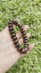 Gelang Kayu Liwung Oval: Aksesoris Kayu Tradisional Unik