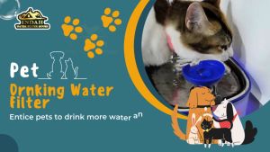 Pet Water Filter Water Dispenser Pet Cat Water Fountain Dog Water Feeder Stainless Steel Top Drinking Bowl - BLU-SS