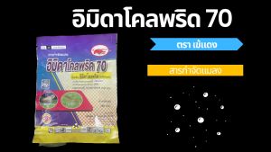 อิมิดาโคลพริด 70  ตรา เข้แดง  ป้องกันกำจัดแมลงปากดูด เช่น เพลี้ยไฟ เพลี้ยจักจั่น เพลี้ยไก่แจ้ เพลี้ยแป้ง แมลงหวี่ขาว ขนาด 100 กรัม