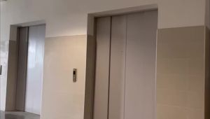 Factory Wholesale Cross-Border New Ultrasonic Repeller Cross-Border High-Power Pest Repeller Mouse Repellent Device Mouse Repellent Device