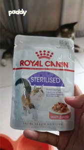 Pate Cho Mèo Triệt Sản Trưởng Thành Royal Canin Sterilised Adult 85g