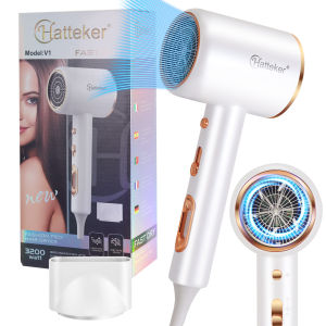 3rd Gear Professional Hair Dryer Negative Ion Blow Dryer with Hot Cold Wind Air Brush Function Strong Power Salon Tool