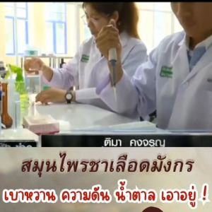 ชาเลือดมังกร organic จากดอยเชียงราย ซื้อ ซื้อที่ดูด้วย 1ห่อมี 20ซองชา สร้างสุขภาพ คอมพิวเตอร์ 1ประเภท