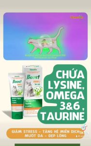 Vemedim Boost IMMU for cat gel dinh dưỡng cho mèo với tảo biển và lysine cung cấp khoáng chất và kích thích thèm ăn tuýp 60g