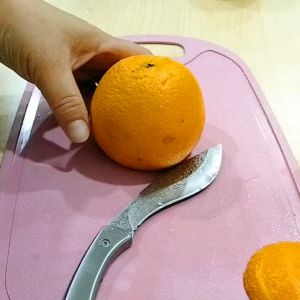 Fruit knife all steel handle with scabbard knife