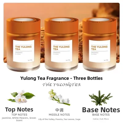 HONGLIN | Long-lasting Air-purifying Deodorizing Car Fragrance Solid Aroma