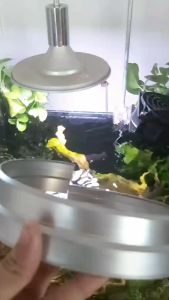 Shade JetA Che Sáng Cho Đèn Lon Thủy Sinh Cá Biển Chống Chói Gom Sáng