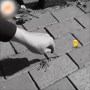 Kepala Pemotong Rumput 6 Inci & Kawat Baja: Panduan Lengkap