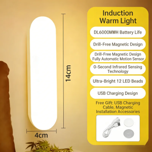 Night Lights Wireless LED Motion Sensor Lamp USB Rechargeable Magnetic For Wardrobe Room Closet Kitchen Aisle Tube Detector Bulb