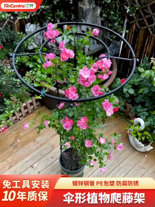 ชั้นวางดอกไม้รูปถั่ว โครงเหล็กสำหรับการปลูกต้นไม้พันรอบ โพลีเอสเตอร์สำหรับสวนบ้าน ช่องทางเดี่ยว ฤดูใบไม้ผลิและฤดูใบไม้ร่วง