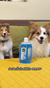 Dettol เดทตอล น้ำยาฆ่าเชื้อเดทตอล น้ำยาฆ่าเชื้อโรค ไฮยีนมัลติ-ยูส น้ำยาถูพื้น สูตรคอตตอน บรีซ 750มล.X2 Dettol Hygiene Multi-use 750mlX2