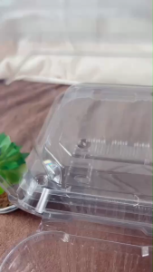 DEDEE (50ชิ้น) กล่องผลไม้PETเนื้อหนา 500CC เจาะรูบน กล่องใสผลไม้PET 500กรัม