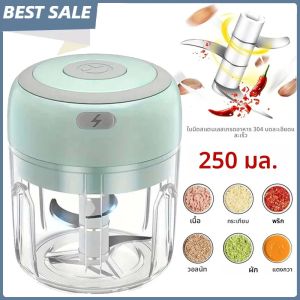 250ML สแตนเลสสตีลไฟฟ้ากระเทียม Chopper ทนทานกระเทียมขิงครัว Shredder MINI เครื่องมืออาหาร Chopper
