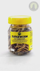 SEMPATI Superworm Super Worm Botol Toples Ulat Jerman Kering Pakan Fooding Burung Murai Kacer Cendet Makanan Cemilan Snack Hewan Sugar Glider Hamster Landak Mini Iguana Gecko Kura-Kura Reptil Ikan Arwana
