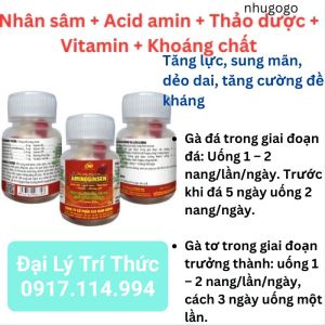 AMINOGINSEN Thuoc Nuôi Gà Đá Gà Chọi Tăng Lực Sung Mãn Dẻo Dai Tải Cựa Mạnh Lì Đòn (Hộp 15 Viên).
