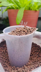 Viên đất nung - sỏi nhẹ trồng cây thuỷ sinh trang trí decor cây cảnh - kiểng lá - lót đáy chậu thoát nước - Hạt Đất ít Nung CLAYBALL