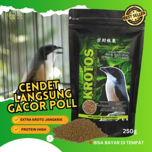 MAKANAN BURUNG VOER KROTO SPESIAL CENDET KICAU MAKSIMAL SPONTAN GACOR