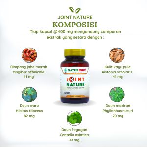 Joint natur Obat Sakit Lutut Pengapuran Tulang nyeri Sendi Kaki Kaku Susah Berjalan