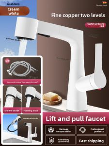 TAOSHI | Cold & Hot Dual-Use Pull-Out Faucet for Washbasin