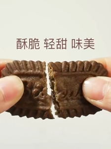 💯无添加糖 健康零食 生椰拿铁饼干500g No Sugar Added Coconut Latte Biscuit 无反式脂肪咖啡饼干 No Sugar Coffee Biscuit