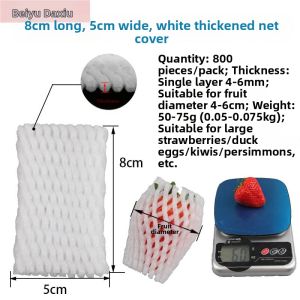 Beiqiandaxiu | Shockproof Thickened Fruit Protection Net Bag