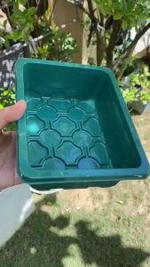 12-hole Seedling Tray Succulent Sowing Seedling Box Three-piece Set Insulation Sowing Tray Tool