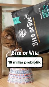 Makanan Kucing Kering Bite Of Wild Bebas Biji Bijian dengan Toping Salmon Ayam dan Daging Mentah