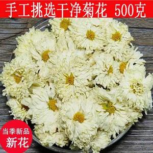 Season Suitable Chrysanthemum Tea 500g