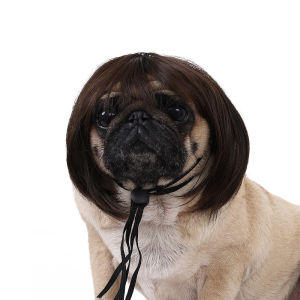 1PCS Funny Pet Wig for Dogs Cats Adjustable Costume Hairpiece Small Medium Large Pet Accessories for Halloween Christmas Party P