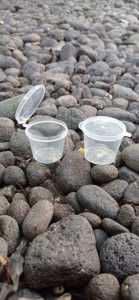 Gelas / Wadah air Zam Zam plastik sekali pakai isi 50 pcs