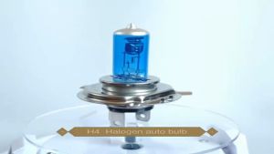 100w Super White Xenon HID Upgrade Lampu Mobil Lampu Halogen Halogen 12v