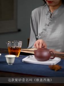 CANGHUTIANXIA | Custom Gift Handmade Zisha Teapot for Home Use Purple Clay Xishi Style